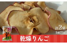 乾燥りんご 25g ×2袋 | ドライフルーツ 乾物 林檎 保存  スナック 果物 くだもの フルーツ お菓子 スイーツ おやつ 3000円 無添加 砂糖不使用 富山 氷見