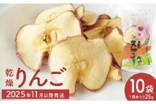 ＜先行受付＞乾燥りんご 25g ×10袋 ＜2025年11月以降順次発送＞ 富山県 氷見市 ドライフルーツ 乾物 林檎 保存 スナック お菓子 スイーツ おやつ
