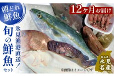 【定期便12ヶ月 】天然のいけす 富山湾 氷見漁港 旬の鮮魚セット 〈配送地域限定〉