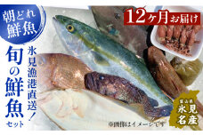 【定期便12ヶ月 】天然のいけす 富山湾 氷見漁港 旬の鮮魚セット 〈配送地域限定〉