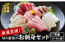 【朝どれ！氷見直送】 旬の鮮魚 お刺身セット 4〜6人前〈冷蔵〉 土日祝お届け ｜ 配送地域限定 サクでお届け 
