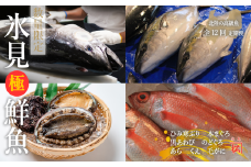 【定期便（全12回）毎月】 豪華海鮮 氷見漁港 直送 ！ミシュラン星付き店にも卸す松本魚問屋が厳選 富山 氷見 産地直送 オーダーメイド 頒布会 コンシェルジュ 天然 寒鰤 ブリ のどぐろ