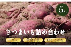 さつまいも詰め合わせ5kg（イズミ、黄金千貫、ほしこがね） 富山県 氷見市 さつまいも サツマイモ 詰め合わせ