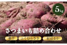 さつまいも詰め合わせ5kg（紫芋、ふくむらさき、紅はるか） 富山県 氷見市 さつまいも サツマイモ 詰め合わせ