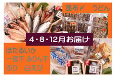 【3回定期便】氷見の味を食べつくす！オールインワンセット うどん カレー 富山県 氷見市 魚 魚介 ブリ ホタルイカ エビ 加工品 詰め合わせ 定期便