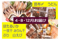 【年3回定期便】氷見堀与季節の干物・海産物詰め合わせ 富山県 氷見市 干物 魚 魚介類 加工品 ブリ ホタルイカ エビ 醤油