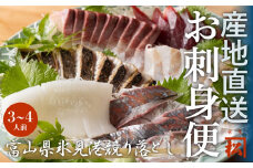 【魚問屋直送】氷見漁港で競り落としたお刺身詰め合わせセット 〈冷凍〉