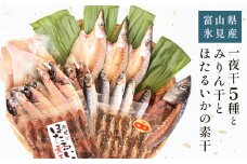 【氷見 堀与】 一夜干し5種とみりん干とほたるいかの素干し