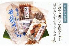 〈お酒のお供に！〉　氷見堀与 干物家飲みセット 【ホタルイカ ぶり するめいか】