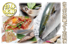 【冬季限定】寒ブリ入り！3ヶ月連続ブリ定期便！ 富山県 氷見市 鰤 定期便 魚介