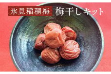 【先行予約】 氷見稲積梅　梅干しキット ＜2025年6月下旬以降順次発送予定＞ ｜　富山県 氷見市 固定種 稲積梅 梅 梅干し キット 手作り 果実 GI認証 GI登録