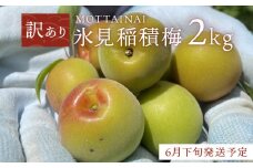 【訳あり】【先行予約】MOTTAINAI 氷見稲積梅 2kg ＜6月下旬発送予定＞  ｜　富山県 氷見市 固定種 稲積梅 梅 梅干し キット 手作り 果実 レシピ 青梅 果物 訳アリ 完熟梅 梅干し 梅シロップ 梅ジャム 梅酒 GI認証 GI登録