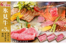 【極上の黒毛和牛】氷見牛６ヶ月定期便 ステーキ・すき焼き・焼肉用