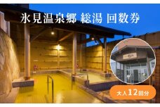 氷見温泉郷 総湯 回数券（大人12回分） 