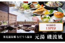 氷見温泉郷 なだうら温泉 元湯 磯波風 宿泊補助券 1万円分 富山県 氷見市 旅行 観光 宿泊 温泉 宿泊券 クーポン チケット 海鮮