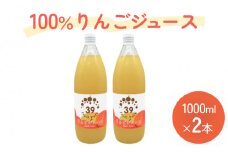 100％りんごジュース 1000ml×2本  