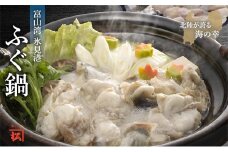  【魚問屋直送】ふぐ鍋セット （切り身500g、白子250g） だし昆布・ゆずぽん付き 