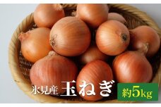 氷見産 玉ねぎ 約5kg | タマネギ たまねぎ 農薬 不使用 化学肥料 不使用 フルボ酸 安全 安心 国産 野菜 富山 氷見