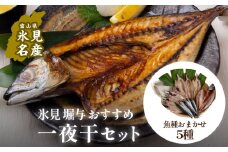 【氷見堀与】 おすすめ一夜干5種セット 〈冷凍〉