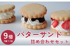 バターサンド 3種×3個 詰め合わせセット 〈冷凍〉| バタークリーム ラムレーズン いちご プレーン