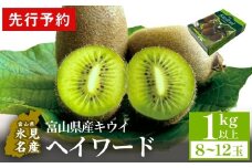 【先行予約】 富山県産キウイ（ヘイワード）1㎏以上（8～12玉） 【2025年12月中旬以降順次発送】  | 国産 数量限定 グリーンキウイ 富山 氷見 果物 フルーツ キウイ