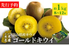 【先行予約】富山県産キウイ（ゴールドキウイ）約1kg（８～12玉） ＜11月中旬以降順次発送＞ ｜ 数量限定 希少 富山 氷見 ゴールドキウイ 国産 キウイフルーツ ギフト 甘い