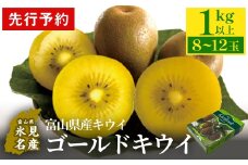 【先行予約】富山県産キウイ（ゴールドキウイ）1㎏以上（８～12玉） ＜2025年11月中旬以降順次発送＞ ｜ 数量限定 希少 富山 氷見 ゴールドキウイ 国産 キウイフルーツ ギフト 甘い