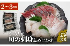 ＜冷蔵便＞ 氷見漁港朝どれ！旬の刺身詰め合わせ ２〜３人前（２、３魚種） 