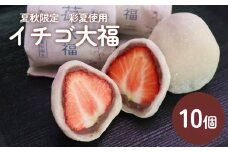彩夏使用 イチゴ大福 （夏秋限定） 10個 山岸ちまき本舗 富山県 氷見市 いちご大福 フルーツ 苺大福