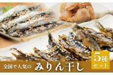 全国で人気のみりん干し5種セット | 干物 魚介 詰め合わせ 味醂干し 丸干し つまみ おかず 酒の肴 お弁当 無添加 簡単調理 富山 氷見