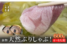 【氷見鰤】新物天然ぶりしゃぶ！300g×2パック 2～3人用/1パック 満足サイズ 〈冷凍〉 | 天然ブリ しゃぶしゃぶ 氷見漁港