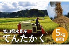 令和7年産 ＜先行予約＞ 富山県氷見産 てんたかく 5kg 玄米 ＜2025年9月以降順次発送＞ | お米 富山 氷見 米 さっぱり 数量限定 農家直送