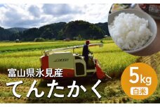 ＜先行予約＞ 令和7年産 富山県氷見産 てんたかく 5kg ＜2025年9月以降順次発送＞ 白米  | お米 選べる 精米 富山 氷見 米 さっぱり 数量限定 農家直送