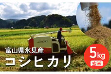 ＜先行予約＞ 令和7年産 富山県氷見産 コシヒカリ 5kg 玄米 ＜2025年10月中旬以降順次発送＞ | お米 玄米 富山 氷見 米 こしひかり 数量限定 農家直送