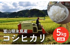 ＜先行予約＞ 令和7年産 富山県氷見産 コシヒカリ 5kg 白米 ＜2025年10月中旬以降順次発送＞  | お米 選べる 精米 分づき米 富山 氷見 米 数量限定 農家直送