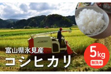 ＜先行予約＞ 令和7年産 富山県氷見産 コシヒカリ 5kg 無洗米 ＜2025年10月中旬以降順次発送＞ | お米 選べる 精米 富山 氷見 米 さっぱり 数量限定 農家直送 節水 防災