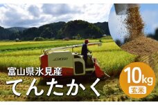 ＜先行予約＞ 令和7年産 富山県氷見産 てんたかく 10kg 玄米 ＜2025年9月以降順次発送＞  | お米 富山 氷見 米 さっぱり 数量限定 農家直送