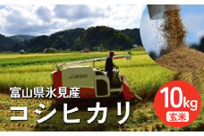 ＜先行予約＞ 令和7年産 富山県氷見産 コシヒカリ 10kg 玄米 ＜2025年10月中旬以降順次発送＞ | お米 玄米 富山 氷見 米 こしひかり 数量限定 農家直送
