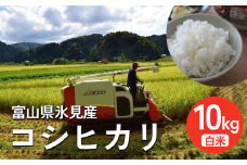＜先行予約＞ 令和7年産 富山県氷見産 コシヒカリ 10kg 白米 ＜2025年10月中旬以降順次発送＞  | お米 選べる 精米 分づき米 富山 氷見 米 数量限定 農家直送
