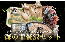 氷見ぶり・のどぐろ・ほたるいか・昆布〆お刺身　鱈場おすすめ海の幸贅沢セット 
