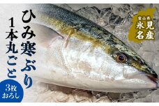 ひみ寒ぶり1本（3枚おろし 富山県 氷見 寒鰤 3枚卸