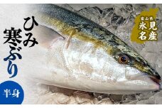 ひみ寒ぶり半身 富山県 氷見 寒鰤 半分