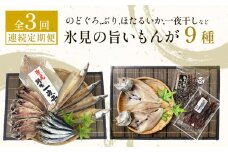 【定期便全３回連続お届け】 「のどぐろ」「氷見ぶり」「ほたるいか」「氷見産一夜干し」など氷見の旨いもんが９種！ 