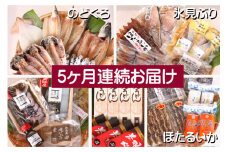 【5ヶ月連続お届け】氷見堀与 一夜干・昆布〆刺身・山海の幸詰合＜氷見鰤・蛍いか・のどぐろ入り＞ 