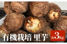 【有機栽培】 里芋 約３kg 
