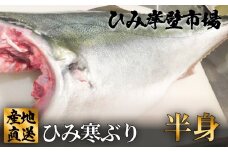 【先行予約】【期間限定】ひみ寒ぶり半身  富山県 氷見 氷見漁港 能登 寒ブリ 天然鰤 処理 ひみ岸壁市場 天然 鮮魚 ブリ 産地直送　釣屋魚問屋直営 ひみ岸壁市場