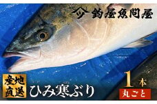 ひみ寒ぶり1本丸ごと  富山県 氷見 氷見漁港 能登 寒ブリ １本 天然鰤 サク 丸ごと 釣屋魚問屋 天然 鮮魚 ブリ 産地直送