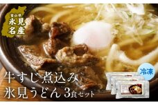 冷凍牛すじ煮込み氷見うどん３食セット  富山県 氷見市 うどん 煮込み 鍋