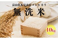 富山県産コシヒカリ 無洗米 10kg 富山県 氷見市 こしひかり 無洗米 