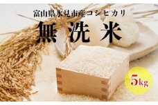 富山県産コシヒカリ 無洗米 5kg 富山県 氷見市 こしひかり 無洗米 